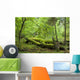 Broken Trees Summer Forest Wall Decal