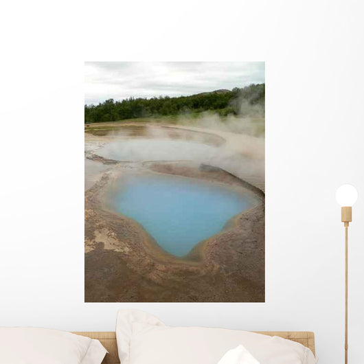 Bassin Turquoise Wall Decal
