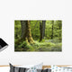 Oak Mossy Tree Wall Decal