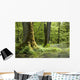 Oak Mossy Tree Wall Decal
