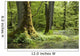 Oak Mossy Tree Wall Decal