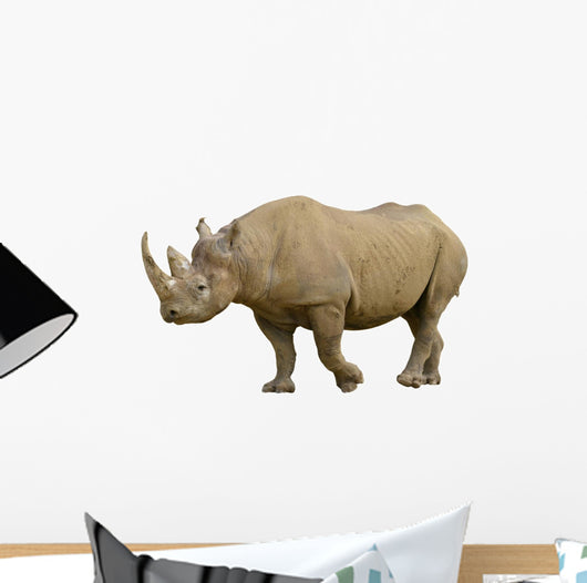 Closeup Black Rhinoceros Diceros Wall Decal