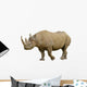 Closeup Black Rhinoceros Diceros Wall Decal