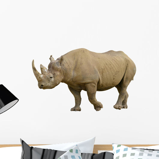 Closeup Black Rhinoceros Diceros Wall Decal