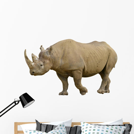 Closeup Black Rhinoceros Diceros Wall Decal
