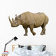 Closeup Black Rhinoceros Diceros Wall Decal
