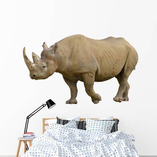 Closeup Black Rhinoceros Diceros Wall Decal