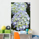 Blue Hydrangea Flower Wall Decal
