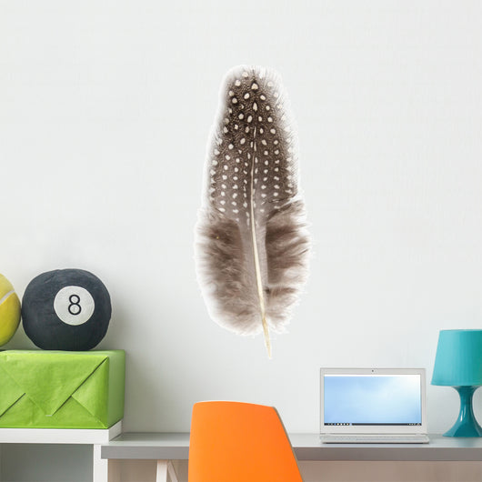 Guinea Fowl Feather 2 Wall Decal