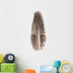 Guinea Fowl Feather 2 Wall Decal