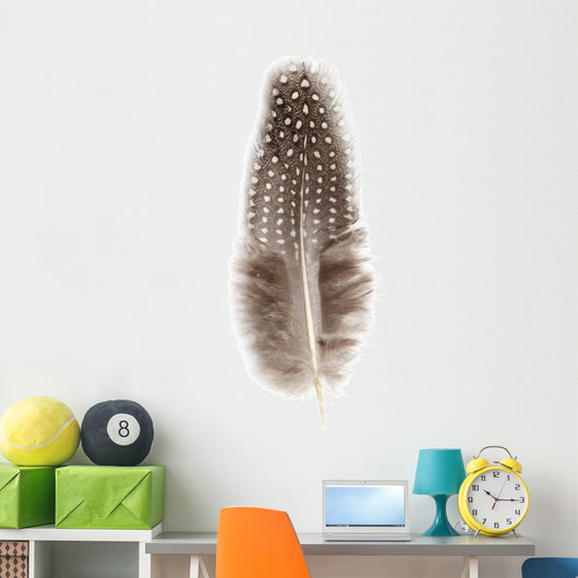 Guinea Fowl Feather 2 Wall Decal