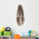 Guinea Fowl Feather 2 Wall Decal