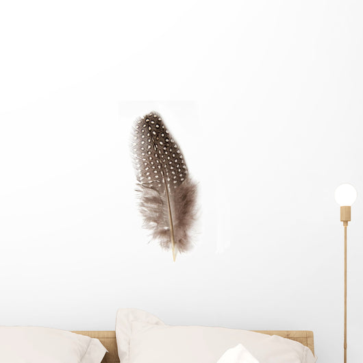 Guinea Fowl Feather 1 Wall Decal