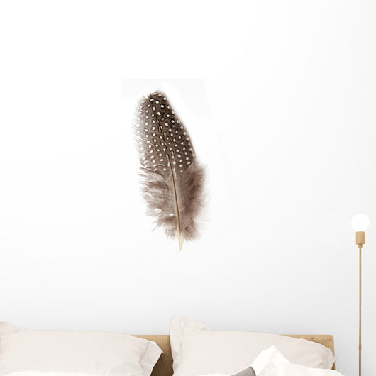 Guinea Fowl Feather 1 Wall Decal