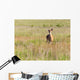 White Tailed Deer Feeds Wall Decal