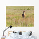 White Tailed Deer Feeds Wall Decal