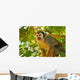 Squirrel Monkey Wall Decal