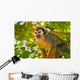Squirrel Monkey Wall Decal