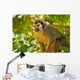 Squirrel Monkey Wall Decal