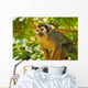 Squirrel Monkey Wall Decal