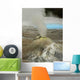 Cocotte-minute Islandaise Wall Decal