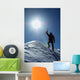 Climber Wall Decal