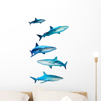 Sharks White Wall Decal shown on a wall