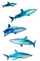 Sharks White Wall Decal