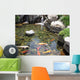 Koi Carp Pond Wall Decal