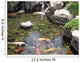 Koi Carp Pond Wall Decal