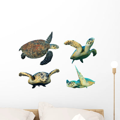Hawksbill Sea Turtles White Wall Decal shown on a wall