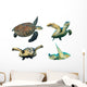 Hawksbill Sea Turtles White Wall Decal