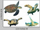 Hawksbill Sea Turtles White Wall Decal