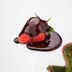 Chocolate Strawberry Dessert Candy Wall Decal