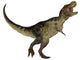 Tyrannosaurus Wall Decal