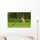 Very Young Red Deer Wall Decal