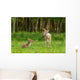 Very Young Red Deer Wall Decal