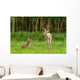 Very Young Red Deer Wall Decal