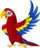 Detailed Funny Macaw Bird Wall Decal
