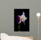 Flor Aquilegia Wall Decal
