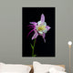 Flor Aquilegia Wall Decal