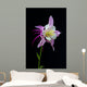 Flor Aquilegia Wall Decal