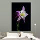 Flor Aquilegia Wall Decal