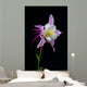 Flor Aquilegia Wall Decal