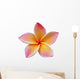 Frangipani Plumeria Flower White Wall Decal