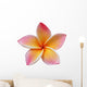 Frangipani Plumeria Flower White Wall Decal