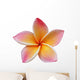Frangipani Plumeria Flower White Wall Decal
