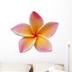 Frangipani Plumeria Flower White Wall Decal