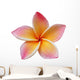 Frangipani Plumeria Flower White Wall Decal