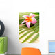 Beautiful Frangipani Wall Decal